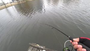 ВОБЛЕР TSUYOKI DRAGA 130SP цвет НU