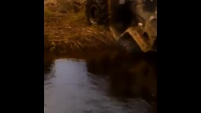 25 04 15 Сиркоярви смотреть онлайн