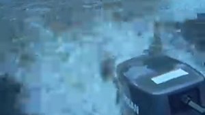 лодка nissamaran 320+nissan 9.8