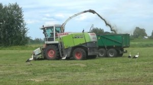 Заготовка кормов 2022 в СПК "Гигант"
