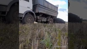 Маз 5551-Маз 555142, Д260