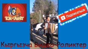 Тынчтык акардеон