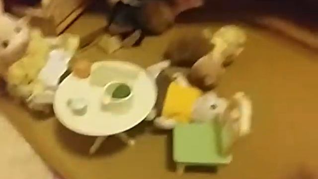 Обзор на дом сильвания фемалис часть 1 смотреть онлайн