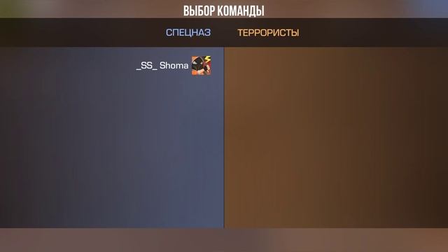 СПЕЦНАЗ и ТЕРРОРИСТЫ