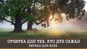 ОТЧИТКА ДЛЯ ТЕХ, КТО ДУБ САЖАЛ.ДЛЯ ВСЕХ | ВЕДЬМИНА ИЗБА | ИНГА ХОСРОЕВА