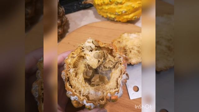 Декоративная тыква смотреть онлайн