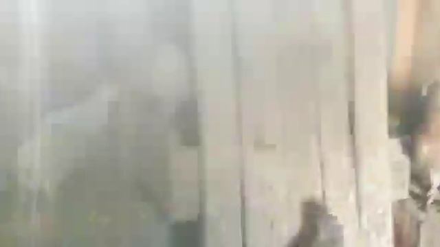 Бакинские голуби на продажу! Мраморные! Кофейные! 89608608822 смотреть онлайн