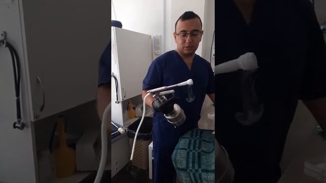 Кошка с плоскоклеточным раком. Криодекструкция ?