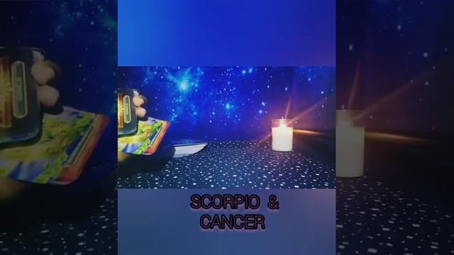 SCORPIO with ALL SIGNS Love and Compatibility Tarot reading. Current time/Timeless смотреть онлайн