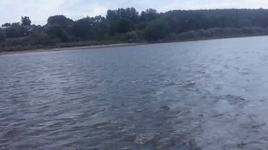 Обкатка нового Флагмана-380 с мотором SEA Pro 9,9