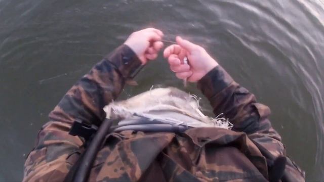 БАРЕНЦЕВО МОРЕ ? РЫБАЛКА. ПОКАЗЫВАЮ ОТЛИЧИЯ БЕЛОЙ РЫБЫ !