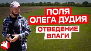 Поля Олега Дудия | Отведение влаги