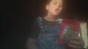 обзор вкусняшек в лагерь "романтика"