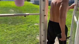 Николаевские голуби Воронежская область