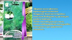 Лучшие ЛЕКАРСТВЕННЫЕ ТРАВЫ! Полезные свойства для здоровья