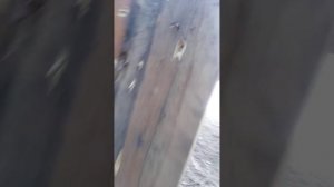 Иж-27 подборка дроби на гуся, дистанция 45 метров.