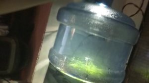 Аквариум для мальков из 19 л бутыли