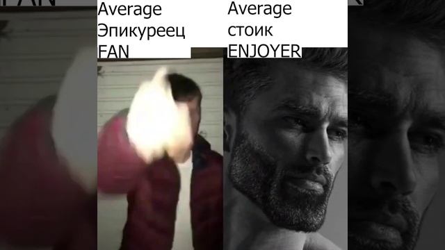 Average Эпикуреец Fan VS Average стоик Enjoyer #shorts #философия #стоицизм