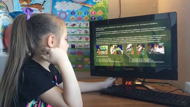 Влияние удобрений на рост и развитие растений