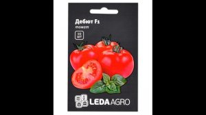 Самый лучший томат в мире 2023 г.!!! Высокоурожайный,сладкий и вкусный томат ДЕБЮТ!!! СУПЕР!!!