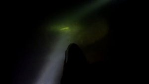 Подводная охота в Калининграде, Балтийское море. А также заныр в Тверской области