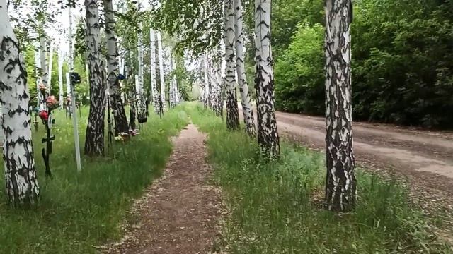 Хорошее настроение. Зауральная роща, Оренбург. Прогулка, природа, цветы. 4 июня 2021. Краски лета!