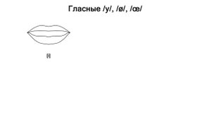 Фонетика французского языка. Гласные