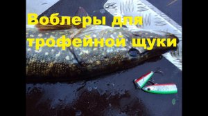Твичинг  Воблеры для крупной щуки