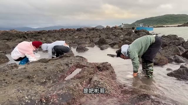 【猛貨合集】深夜趕海偶遇龍蝦窩，小漁激動的都跳起來了，這次真發大財了！ 【漁小仙】
