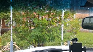 Работа прерывателя стеклоочистителя с регулировкой паузы 724.3777-01