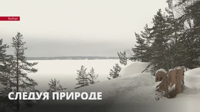 В «Монрепо» снова доступен для посещения экомаршрут