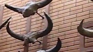 Палеонтологический музей - гигантский олень