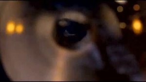 Свободный полет ("Никто не выжил", Люк Эванс)