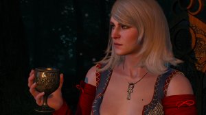 The Witcher 3