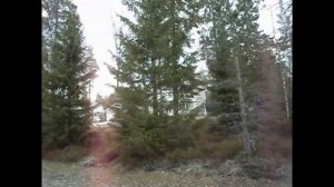 Прогулка по нашей деревни (Север финляндии)