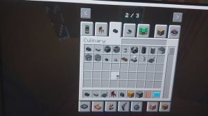 маенкрафт мод дом