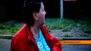 Нетрезвый водитель в Ивангороде попал на телеканал "НТВ" (Программа "Первая передача")