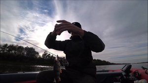 ОТВОДНОЙ ПОВОДОК. ГЛАВНОЕ- ПРОВОДКА!