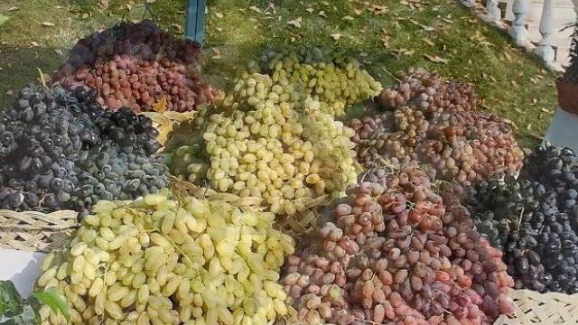 Приятного аппетита смотреть онлайн