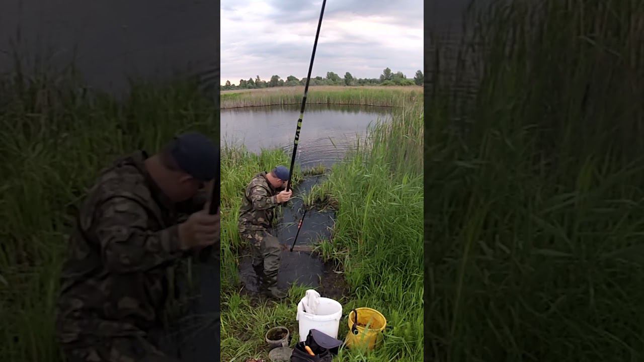 ТОЛЬКО ЗАБРОСИЛ КАРАСЬ УЖЕ КЛЮЁТ  #рыбалка #shortsvideo #shorts #short #ловлякарася