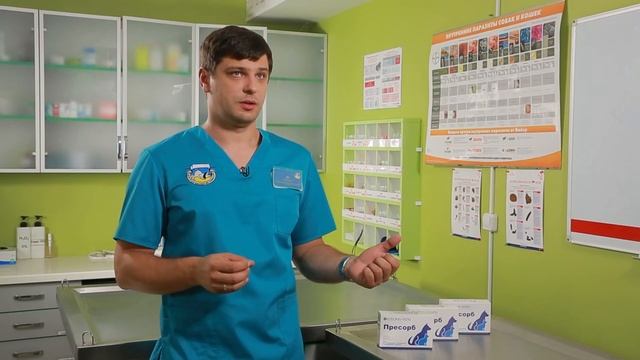 АЛЛЕРГИЯ И ЗАБОЛЕВАНИЯ КИШЕЧНИКА У ЖИВОТНЫХ смотреть онлайн