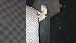 установка сидений с газ 3110 на 2401 без сварка