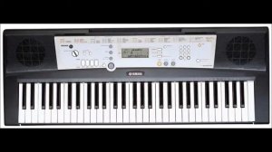 Teach in - Ding a Dong PSR-E203