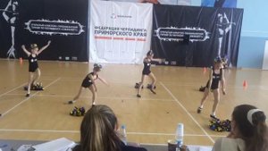 черлидинг номинация: старшие дети