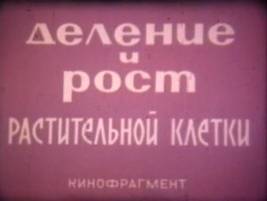 Деление и рост растительной клетки