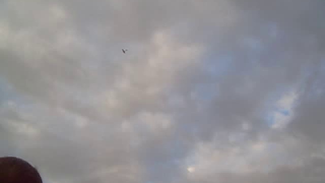 бензин в воздухе