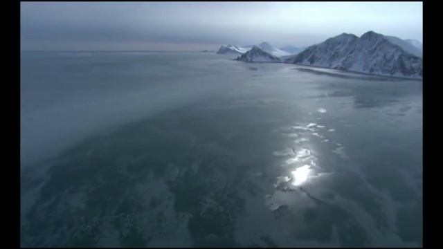 Хочу жить! Стихи Миша Фреш смотреть онлайн