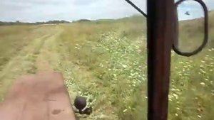 заготовка сена на т 25