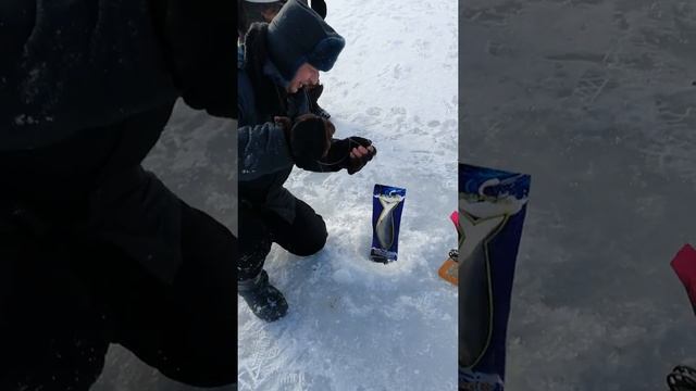 Битюг, везёт же людям. смотреть онлайн