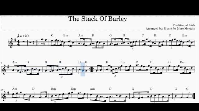 The Stack of Barley – Traditional Irish Hornpipe – Play Along for Violin, Flute or Guitar смотреть онлайн